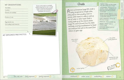 Rocks And Minerals Handbook