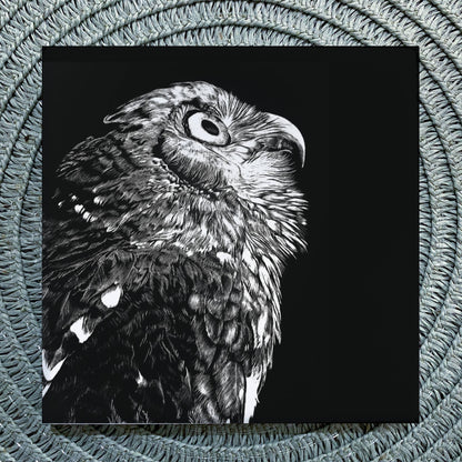 Barking Owl Ceramic Coaster
