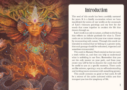 Shamanic Oracle