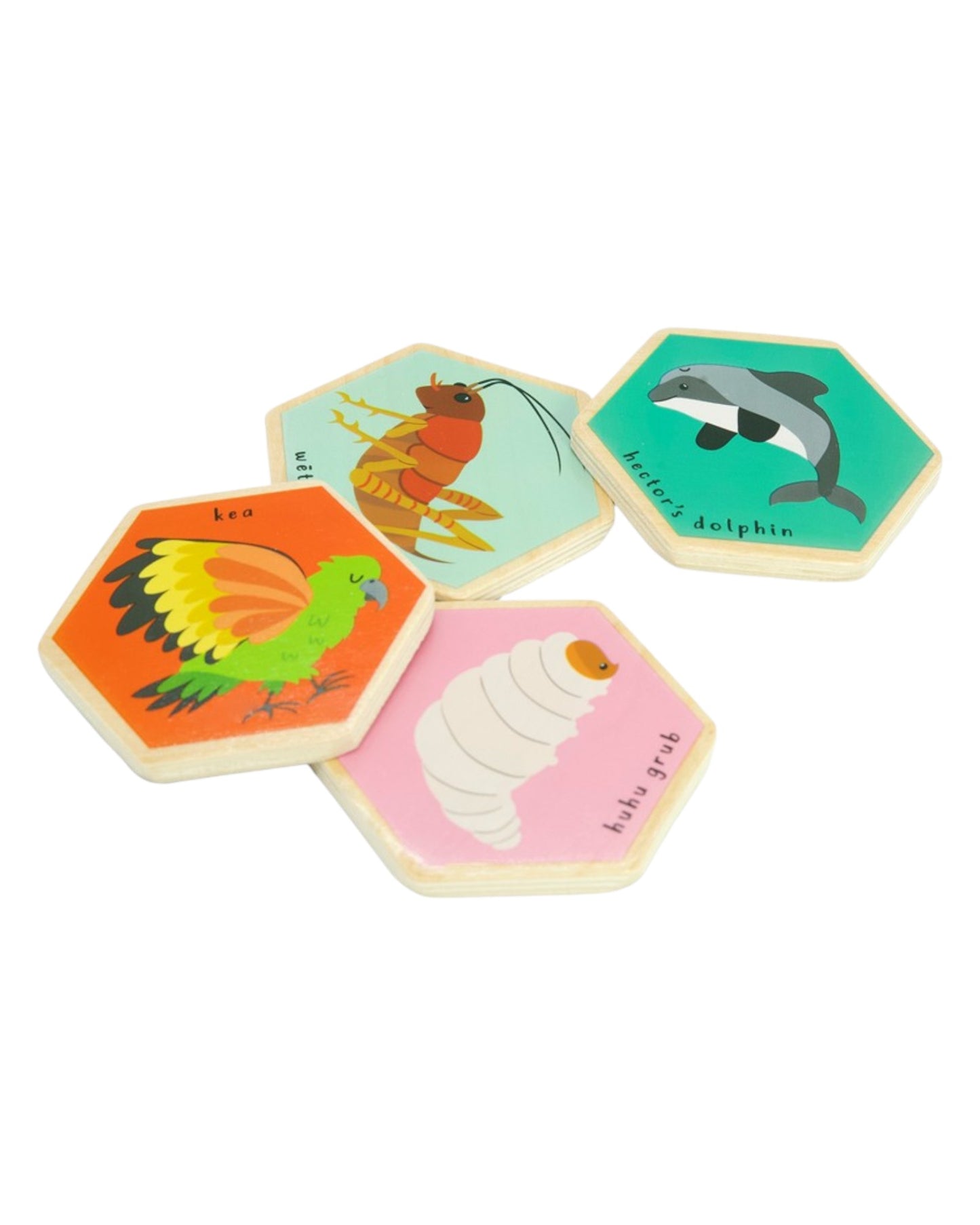 Moana Road Memory Game NZ Animals
