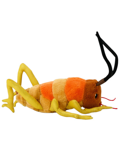 Wiremu the Wētā  - Soft Toy - Moana Rd