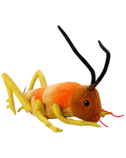 Wiremu the Wētā  - Soft Toy - Moana Rd