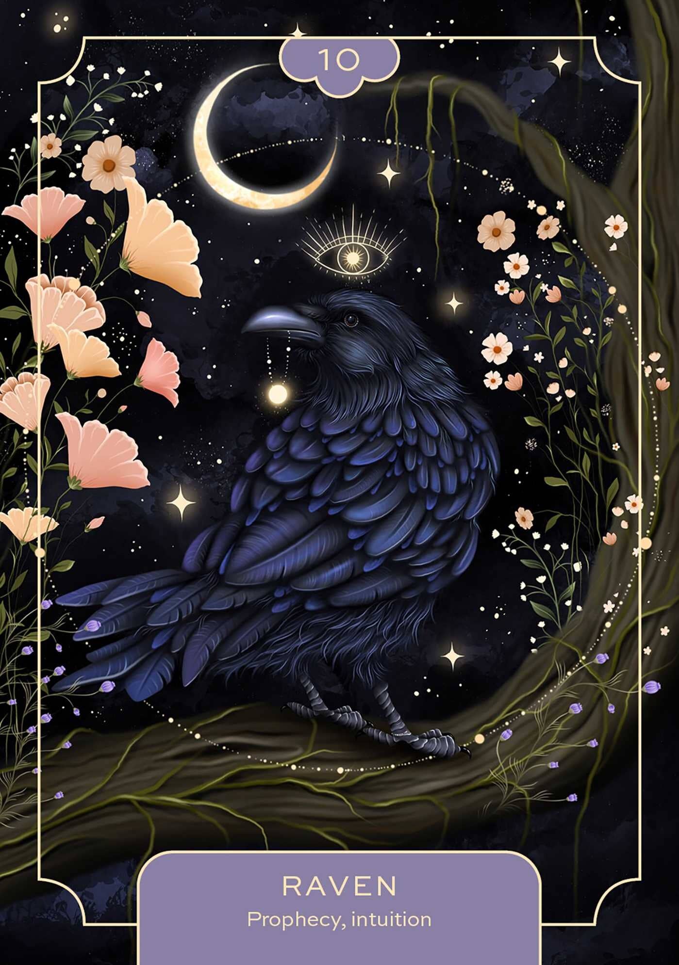 Animal Spirit Oracle Cards