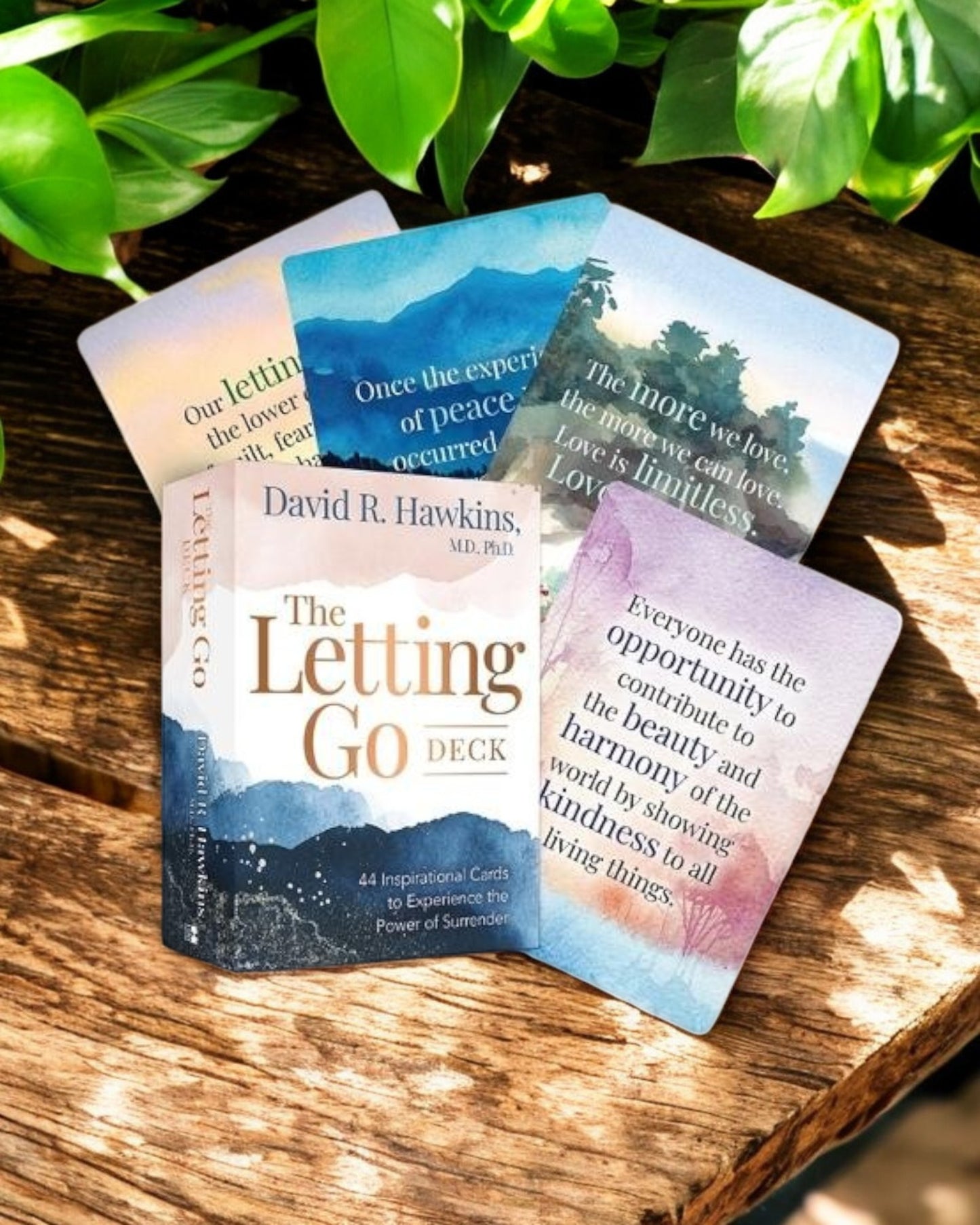 Letting Go Card Deck