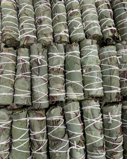 Eucalyptus Herb Wands, Eucalyptus Leaf Bundle