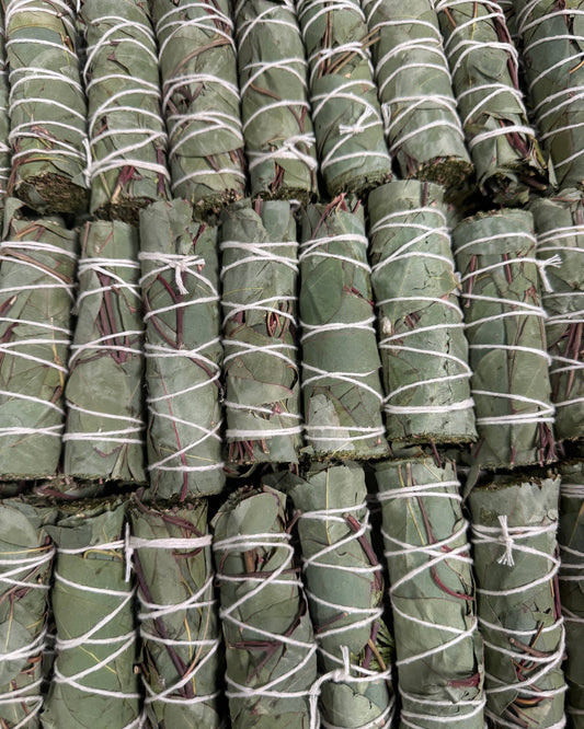 Eucalyptus Herb Wands, Eucalyptus Leaf Bundle