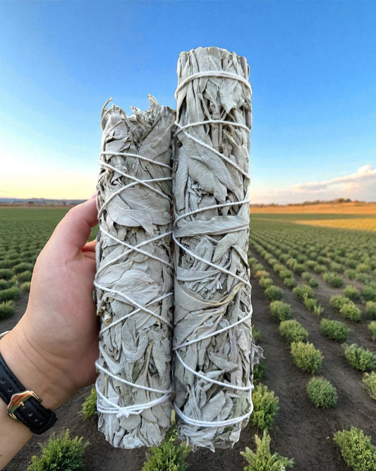 9" Inch California White Sage (Salvia Apiana) Herb Wands