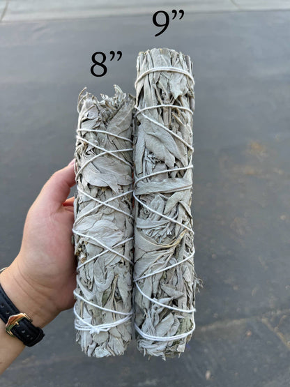 9" Inch California White Sage (Salvia Apiana) Herb Wands