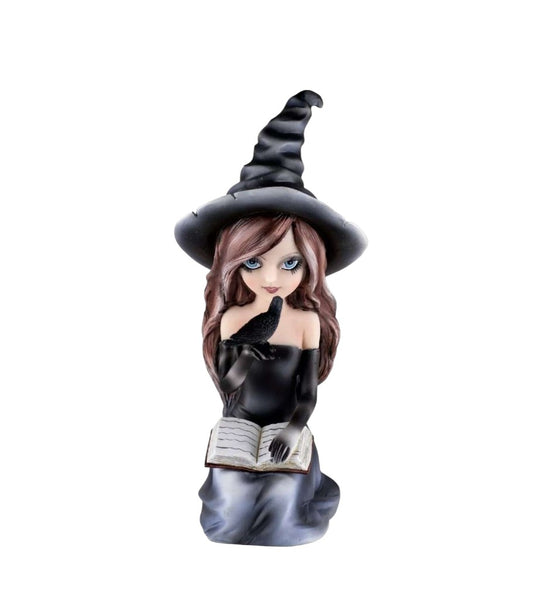 Witch Holding Raven