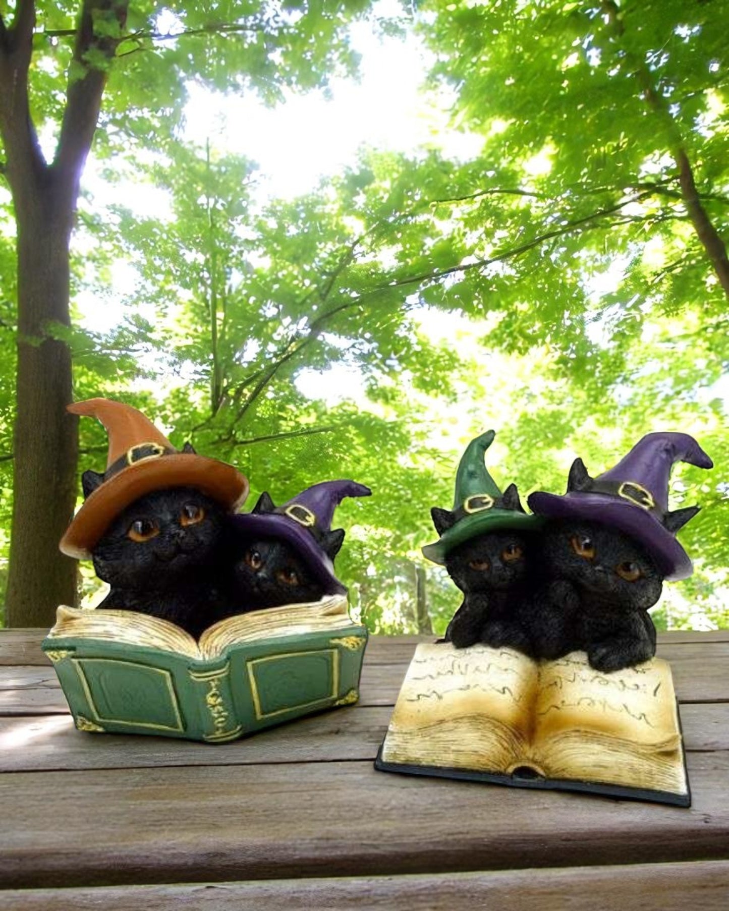 Witches Black Cat Mischievous Spell Book