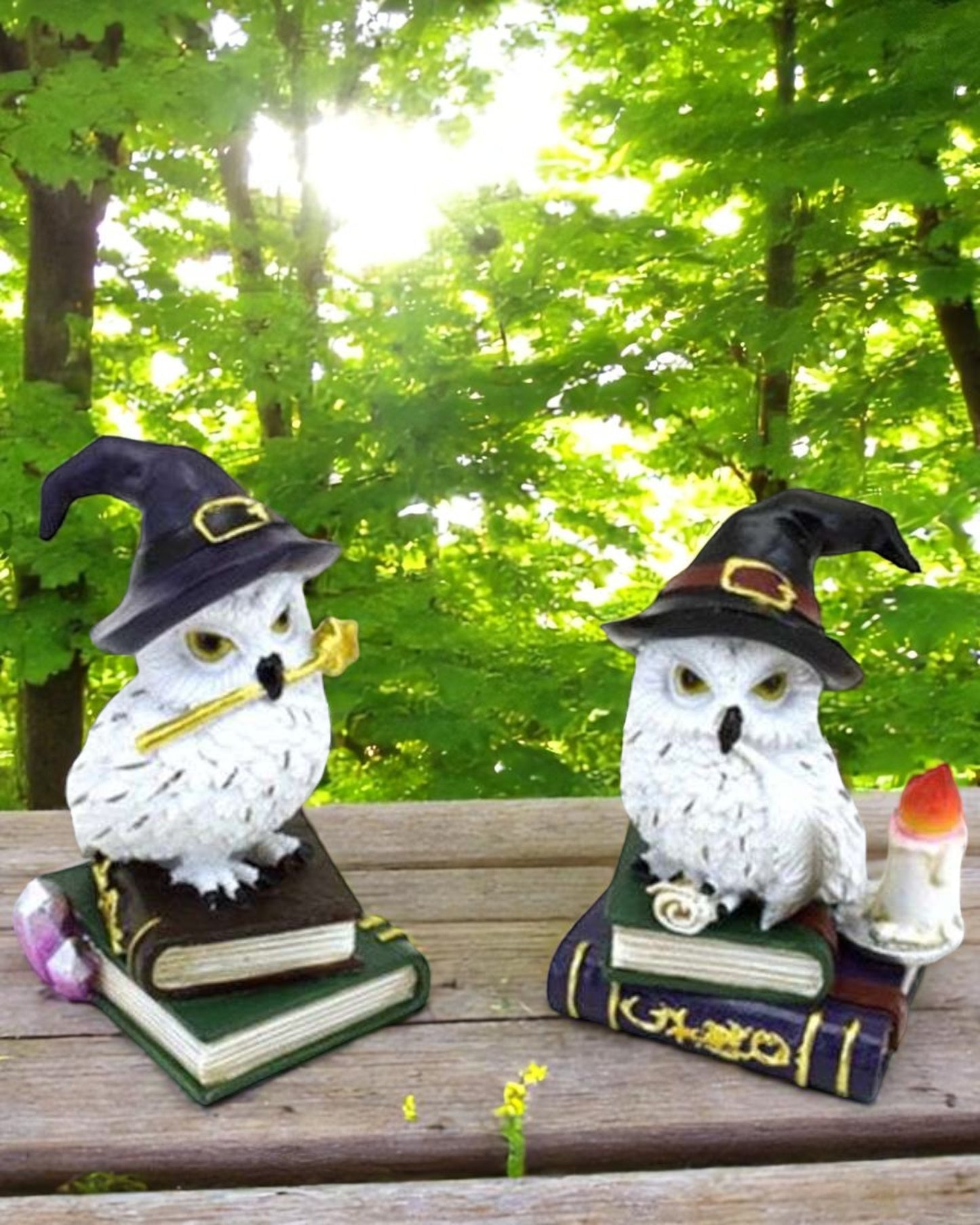 Wise Old Magical Owl on Spell Books