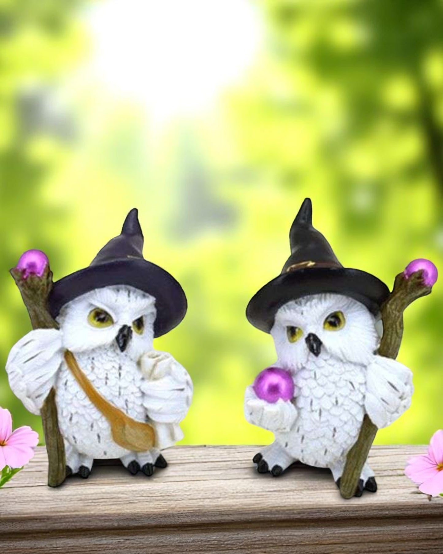 Wise Old Magical Owl on a Magical Journey
