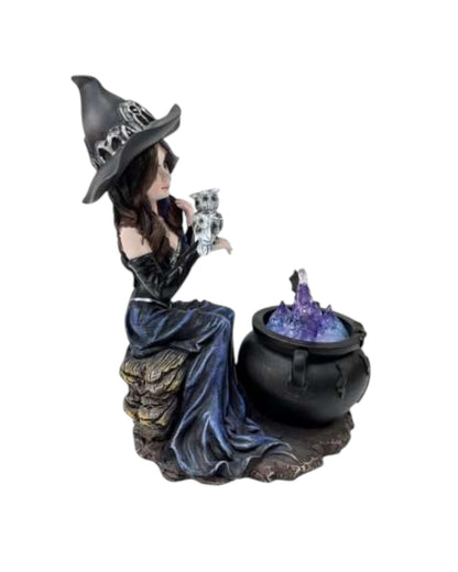 Witch with Owl and Brewing Cauldron