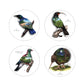 Birds Eye View Coasters - Sophie Blokker