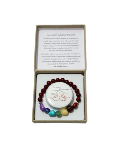 Chakra Tumblestones Bracelet Carnelian