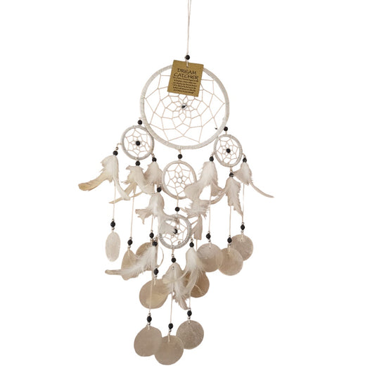 White with Shell Dreamcatcher 12cm NEW!