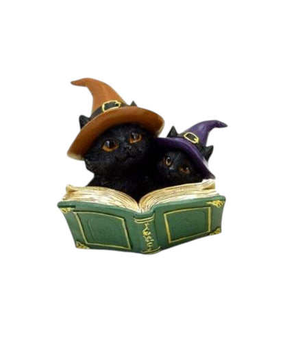 Witches Black Cat Magical Spell Book