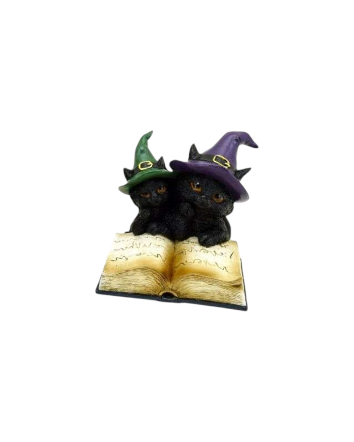Witches Black Cat Magical Spell Book