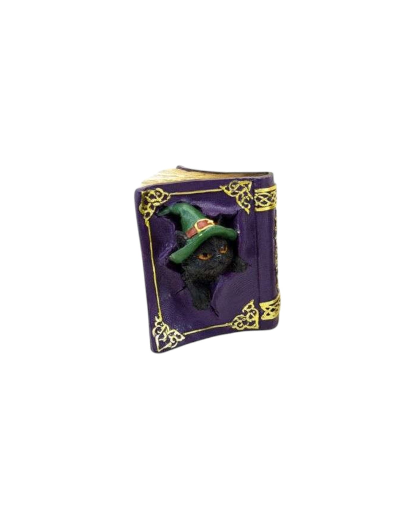 Witches Black Cat Mischievous Spell Book