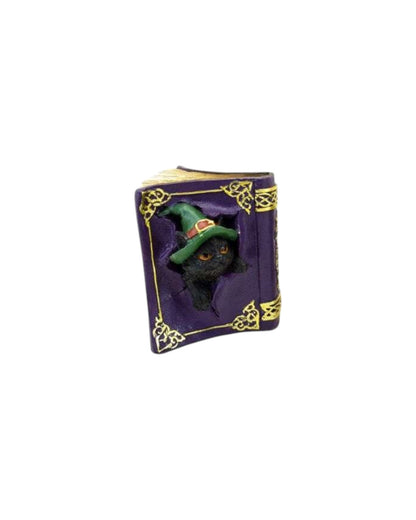 Witches Black Cat Mischievous Spell Book