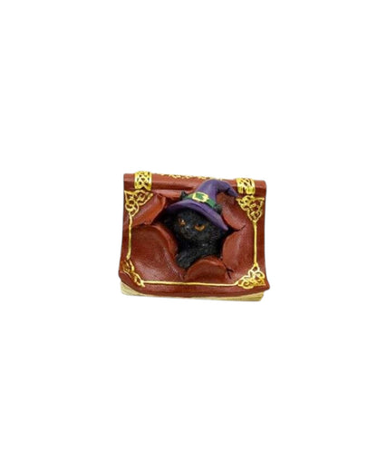 Witches Black Cat Mischievous Spell Book
