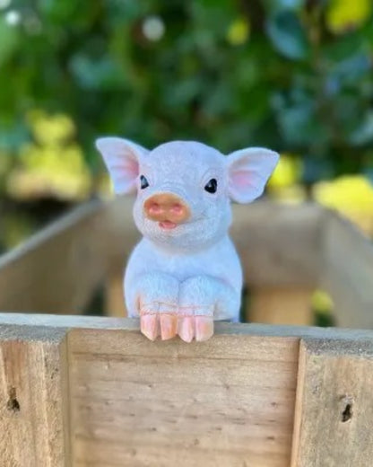 Piglet Small