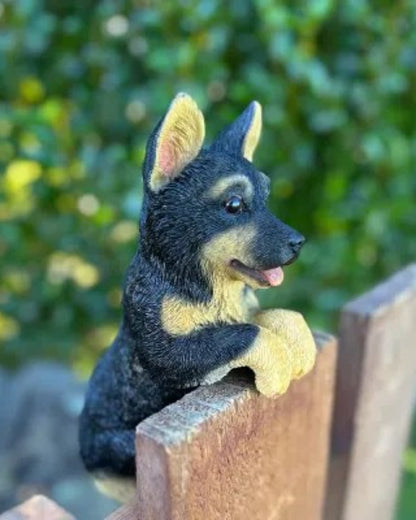 German Shepherd Medium