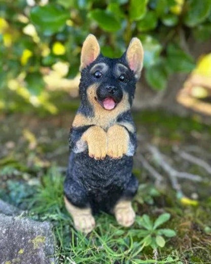German Shepherd Medium