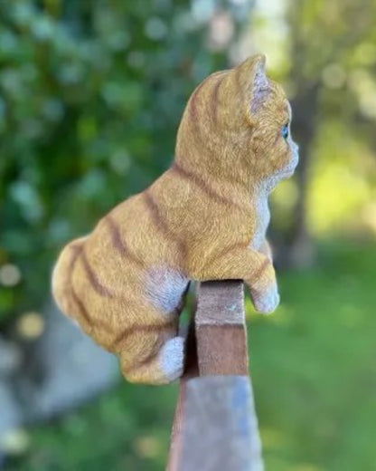 Ginger Cat