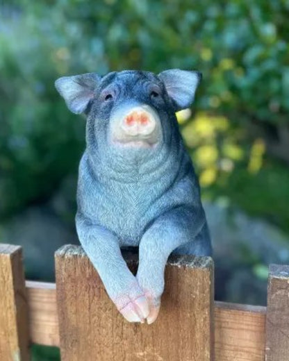 Pig Large