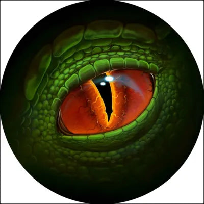 Dragon Eye Coaster Set