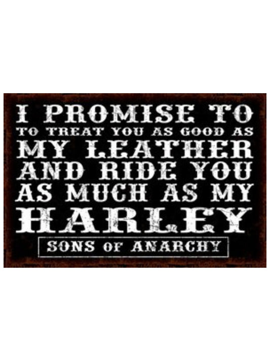 Wall Art on MDF Harley