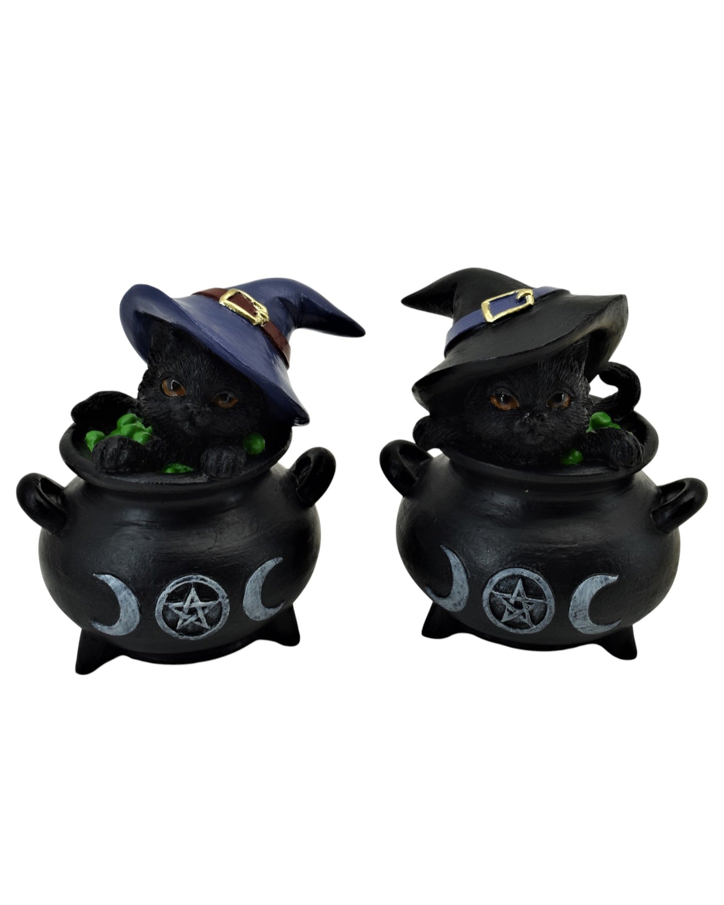 Black Cat In Cauldron