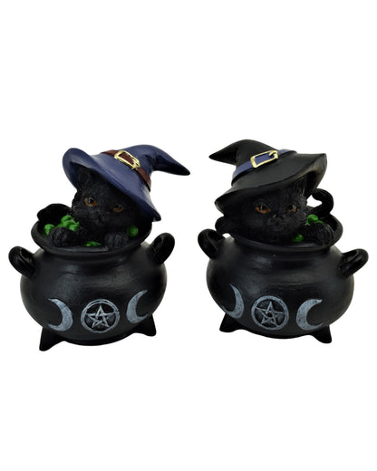 Black Cat In Cauldron