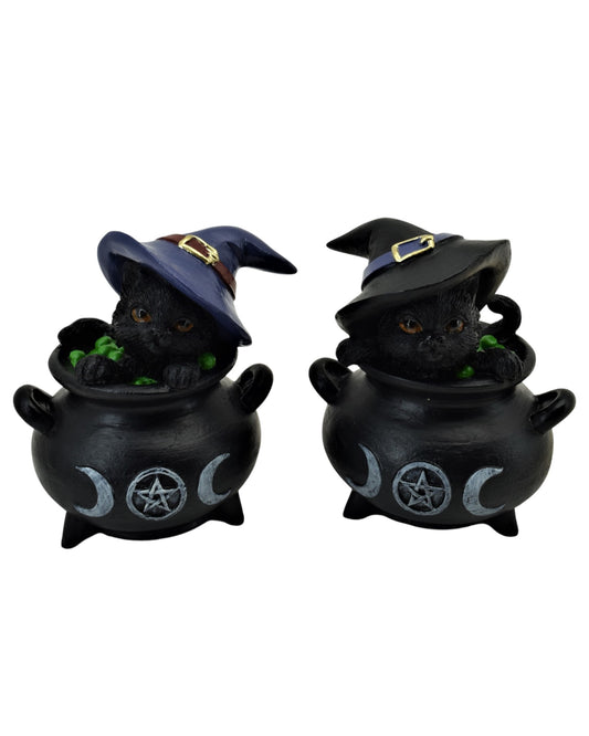 Black Cat In Cauldron