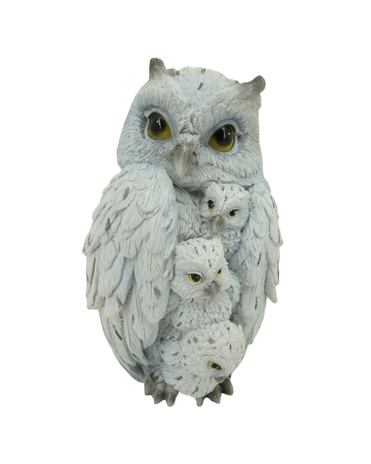 Family of Owls