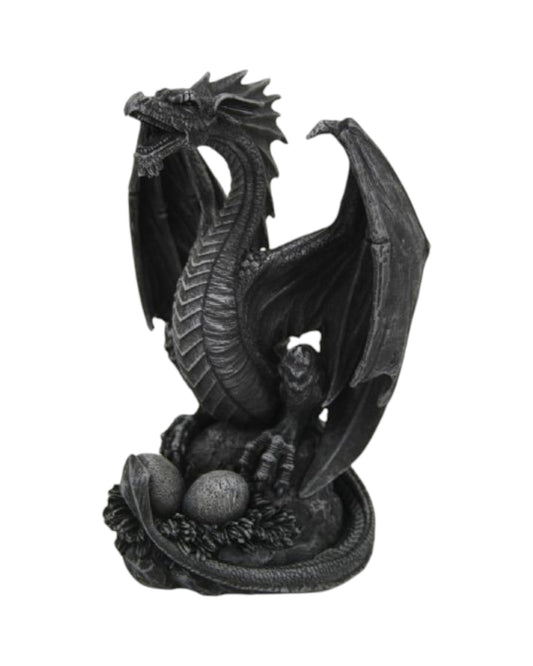 Dragon Guarding Eggs