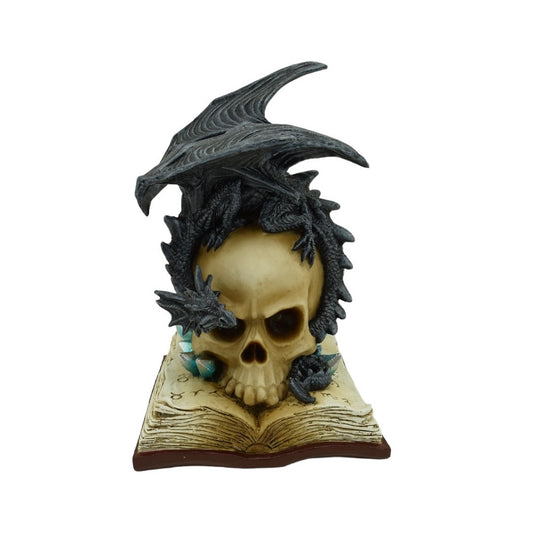 Skull on book with Black Dragon NEW!