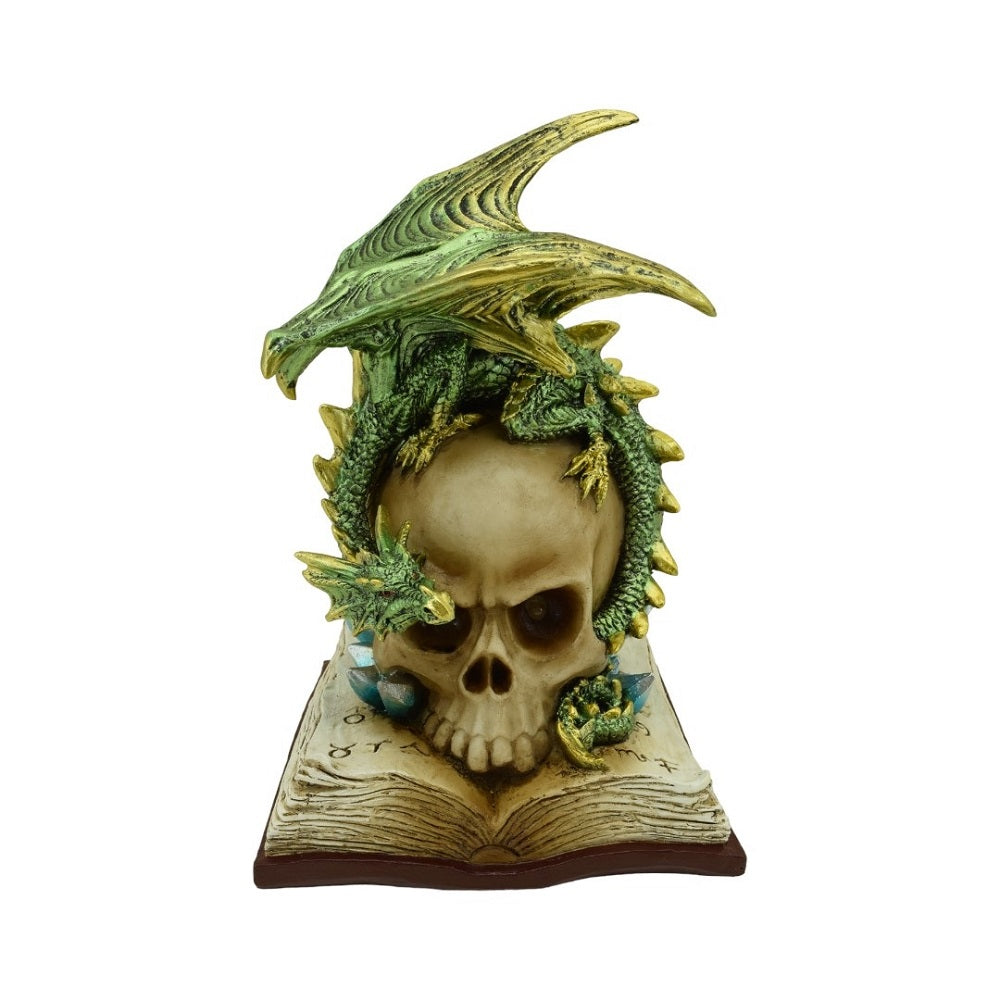 Skull on book with Green Dragon NEW!