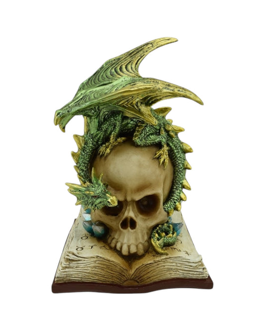 Skull on book with Green Dragon