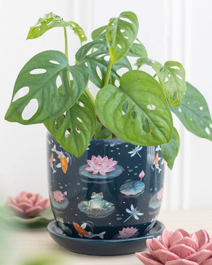 Pond Print Plant Pot with Saucer NEW!