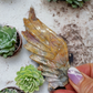 Ocean Jasper Pegasus Wings