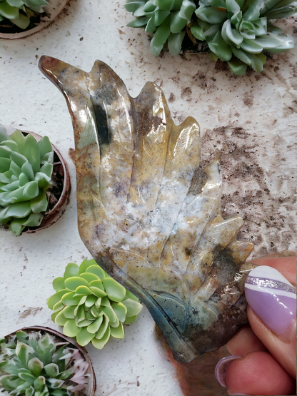 Ocean Jasper Pegasus Wings