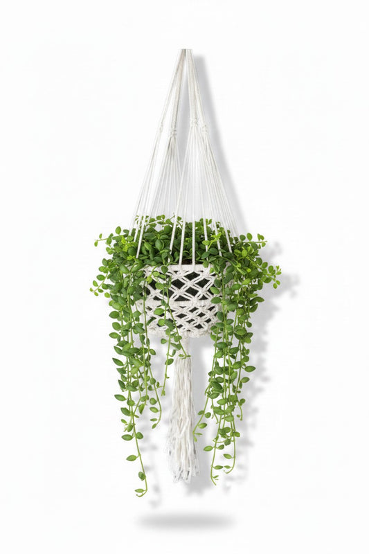 Macrame Pot Hanger