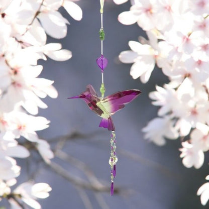 Hummingbirds with Tassles