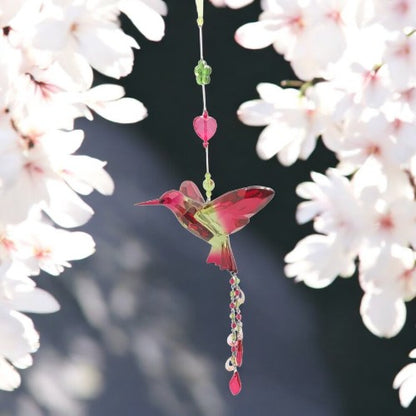 Hummingbirds with Tassles