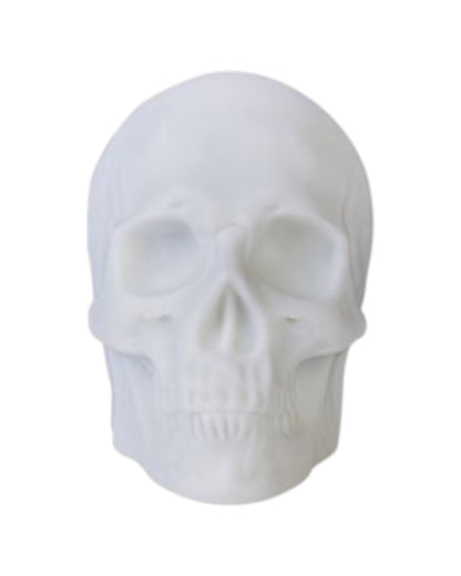 Skull Speaker
