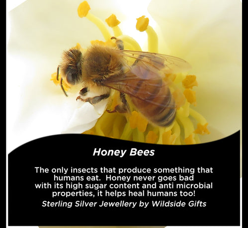 STERLING SILVER BEE STUD EARRINGS