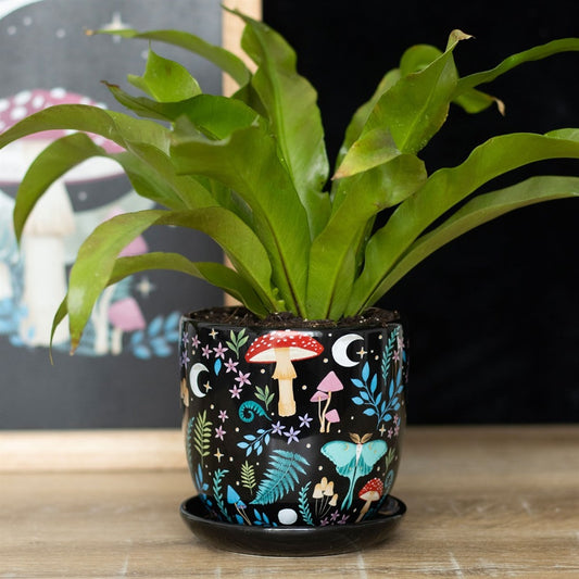 Dark Forest Print Ceramic Plant Pot with Saucer NEW!