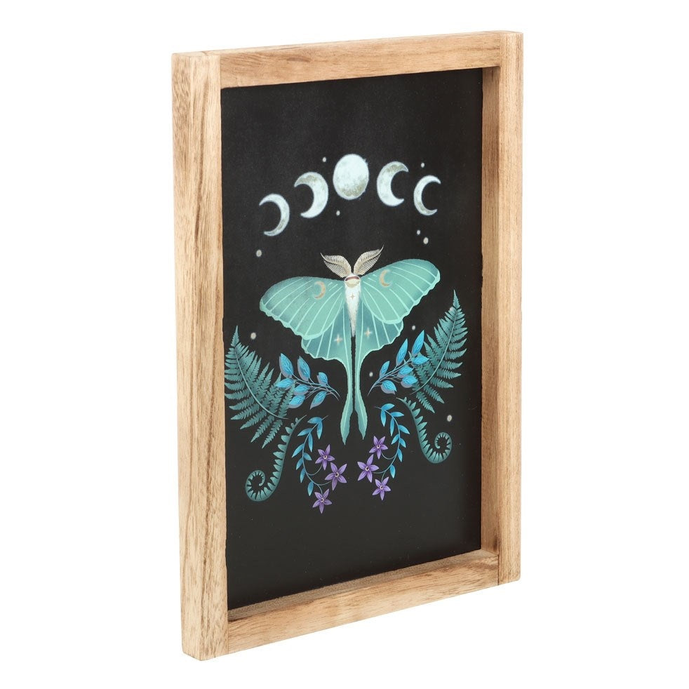 Luna Moth Wooden Framed Wall Art